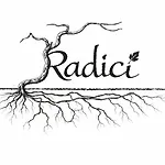 Radici Apartman *